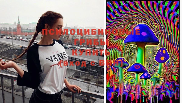 jwh Богородск