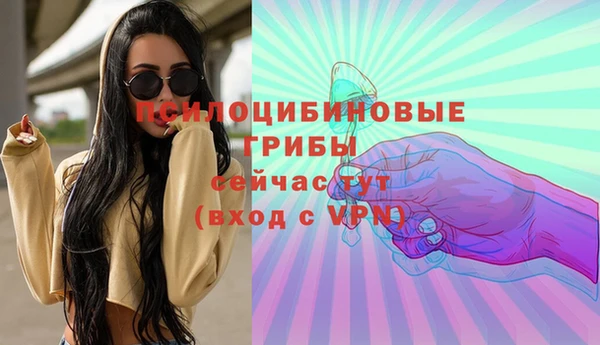 шишки Богданович