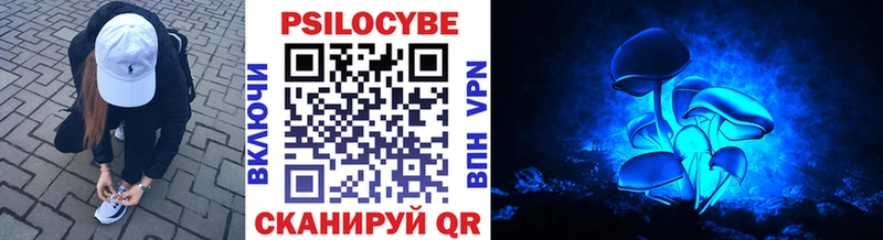 Псилоцибиновые грибы прущие грибы  Онега 